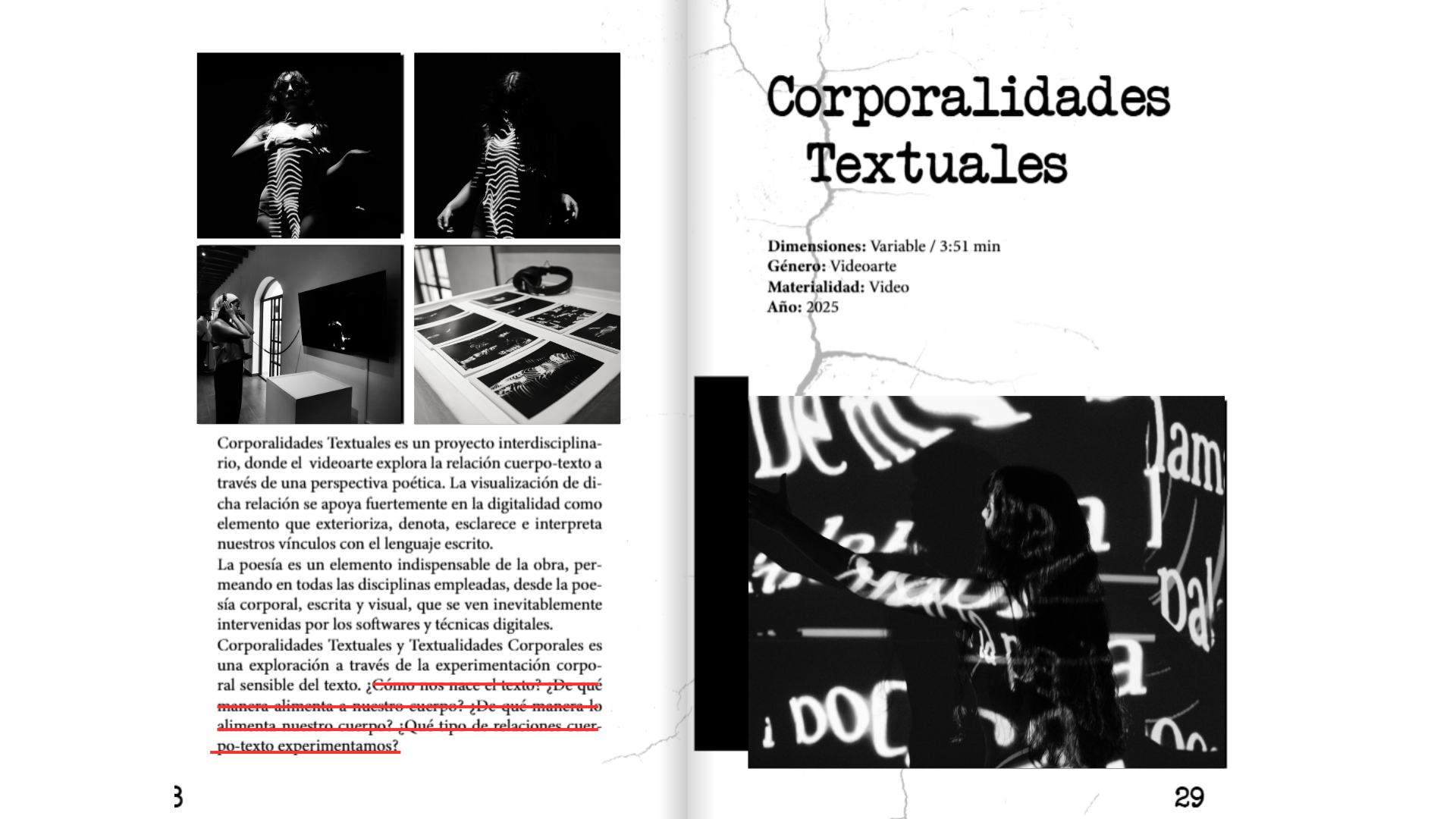 Imagen 11